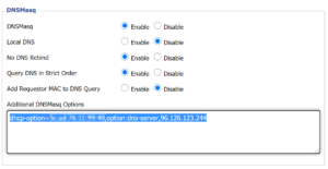 How to DNS servers on a DD-WRT router for specific devices (including Roku)